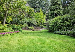 Optimiser l'expérience du jardin à Ahun