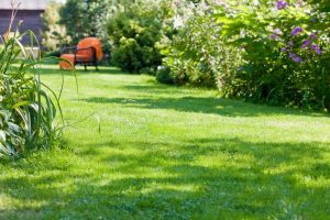 travaux jardin et paysage Ahun